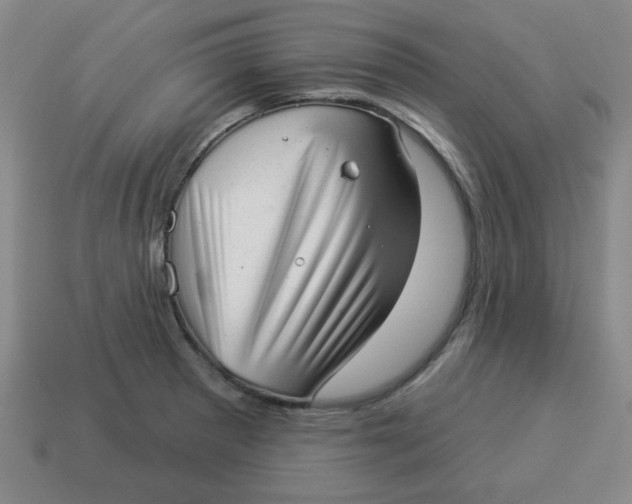 X0000114491281200911091040