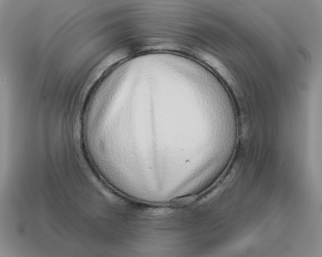 X0000114491282200911091040