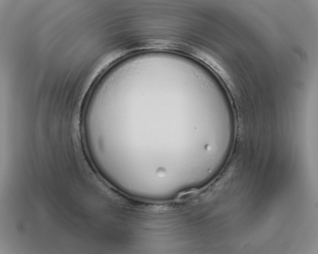 X0000114491283200911091040