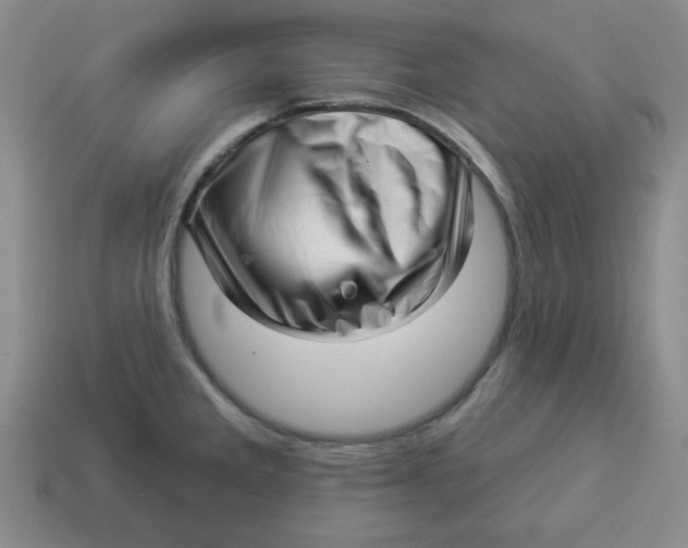 X0000114491285200911091040