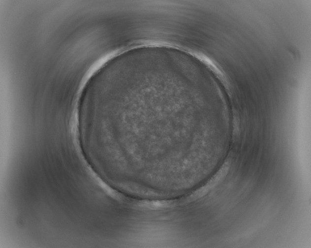 X0000114491286200911091040