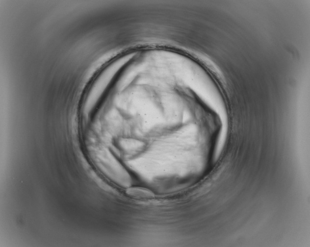 X0000114491287200911091040