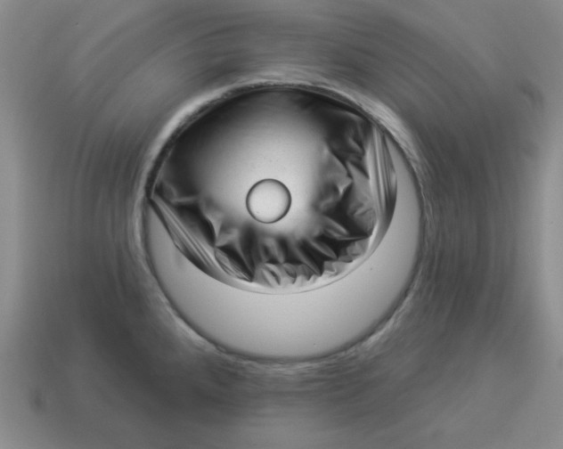 X0000114491288200911091040