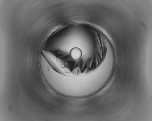X0000114491289200911091040