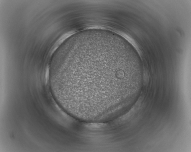 X0000114491290200911091040
