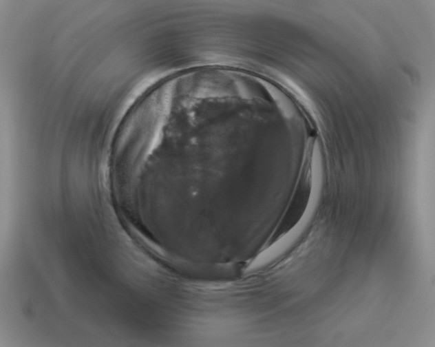 X0000114491291200911091040