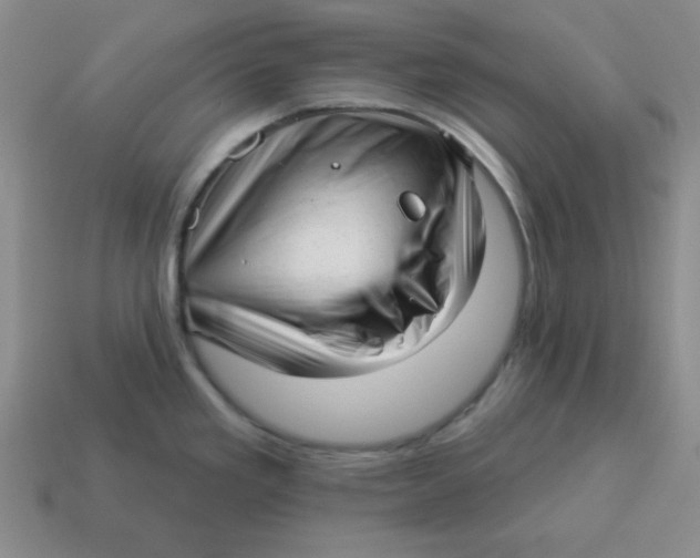 X0000114491293200911091040