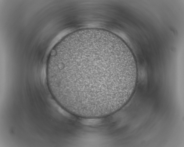 X0000114491294200911091040