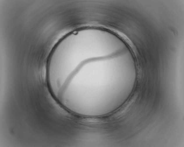 X0000114491295200911091040