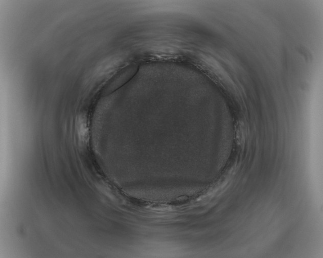 X0000114491298200911091040