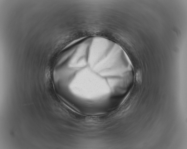 X0000114491299200911091040