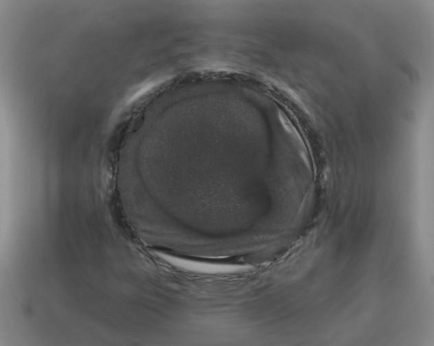 X0000114491303200911091040
