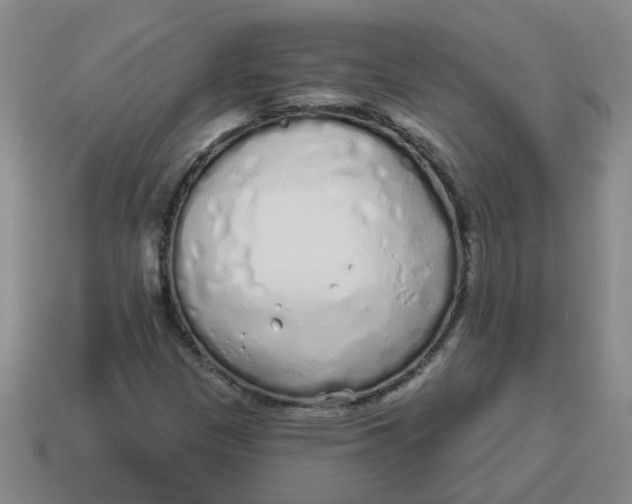 X0000114491305200911091040