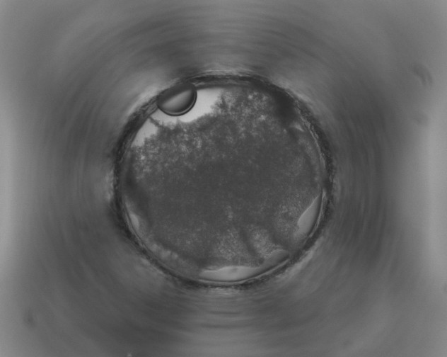 X0000114491306200911091040