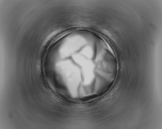 X0000114491307200911091040