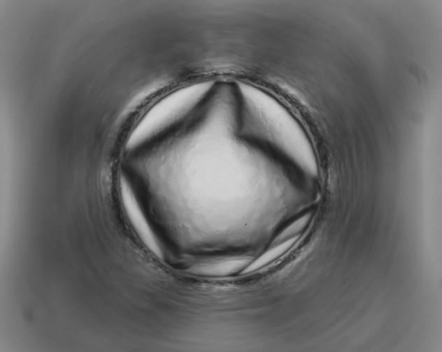 X0000114491309200911091040