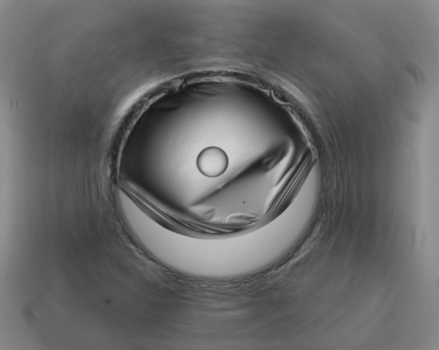 X0000114491310200911091040