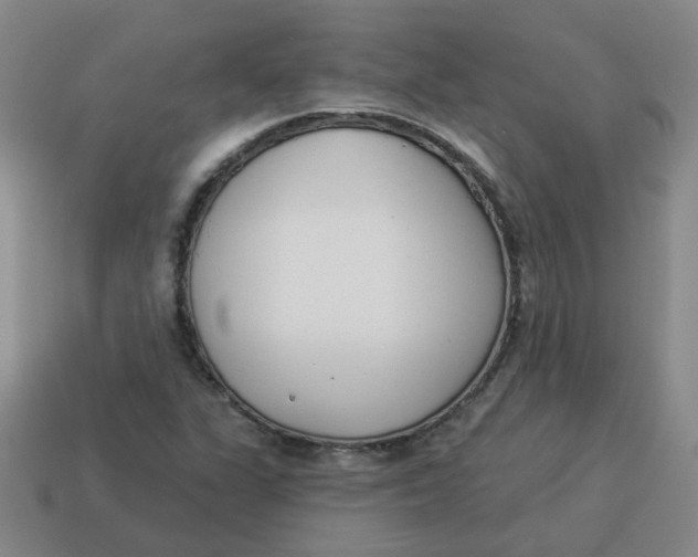 X0000114491311200911091040