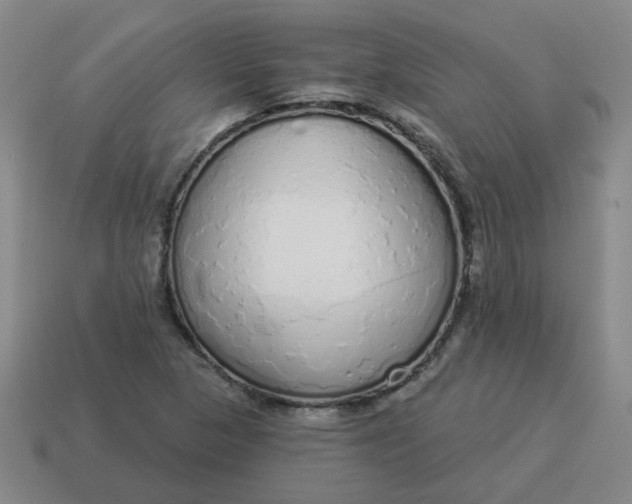 X0000114491313200911091040