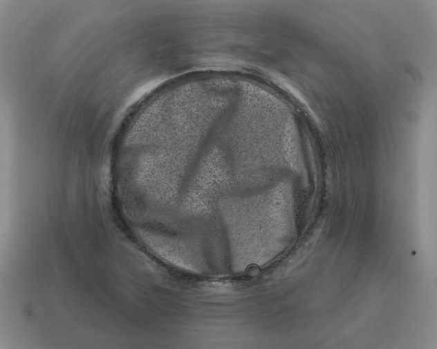 X0000114491315200911091040