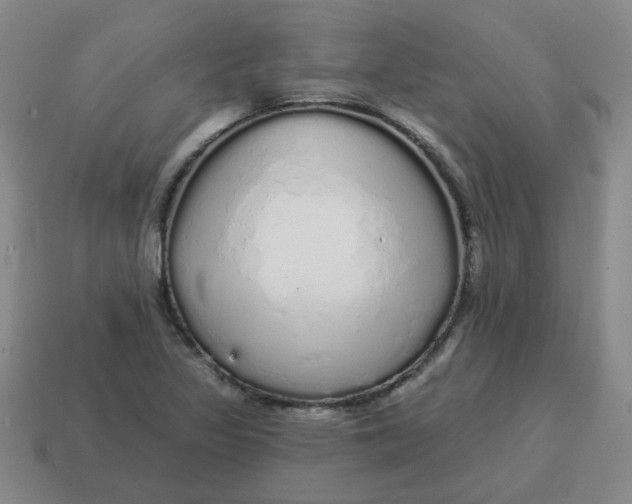X0000114491317200911091040