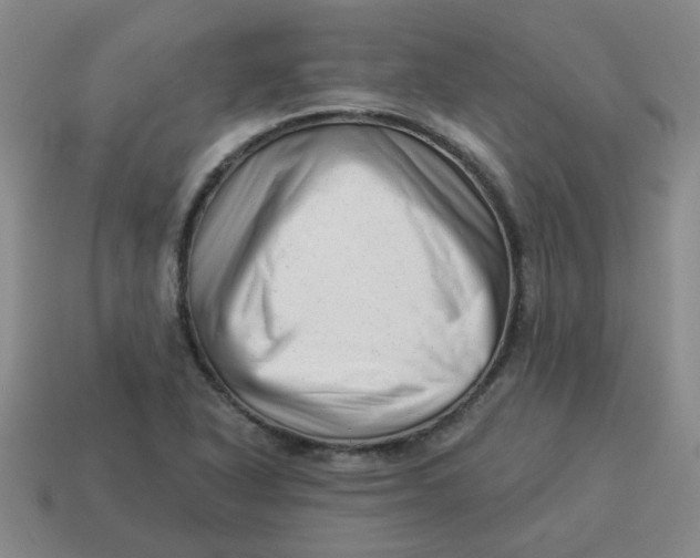X0000114491318200911091040