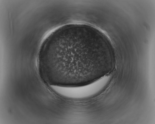 X0000114491319200911091040