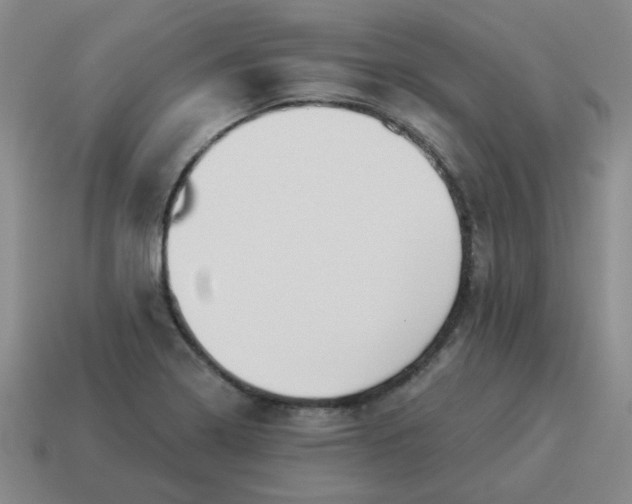 X0000114491322200911091040