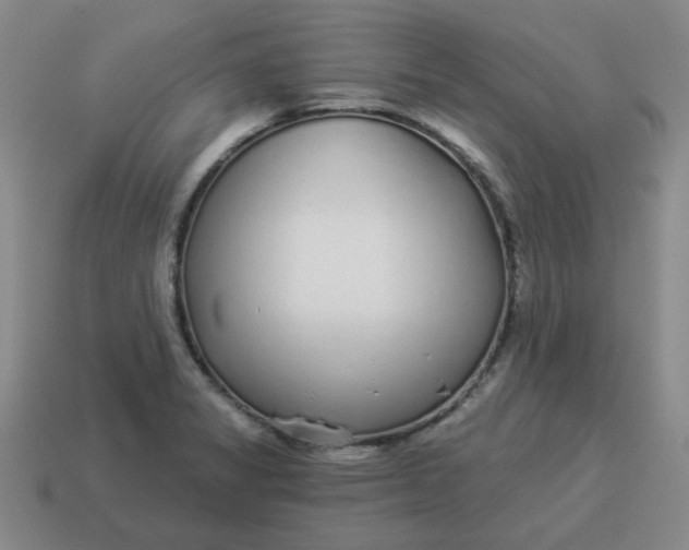 X0000114491325200911091040