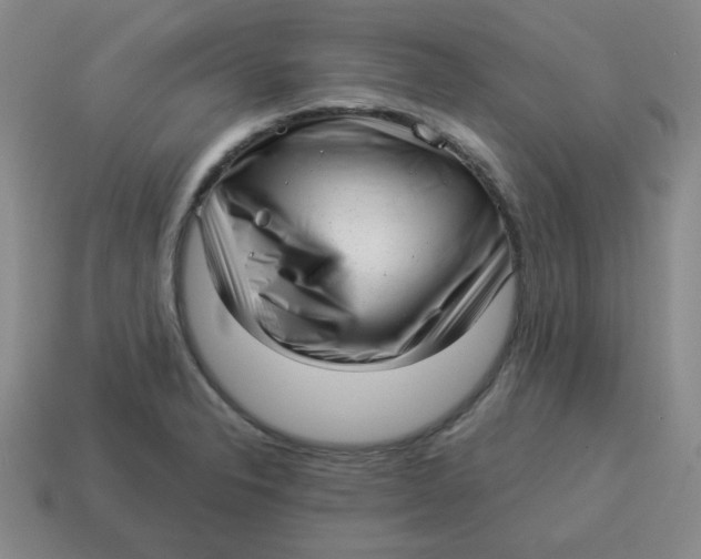 X0000114491326200911091040