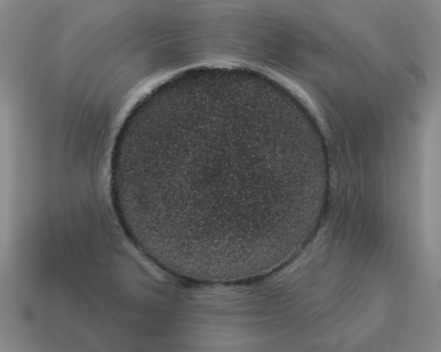 X0000114491327200911091040
