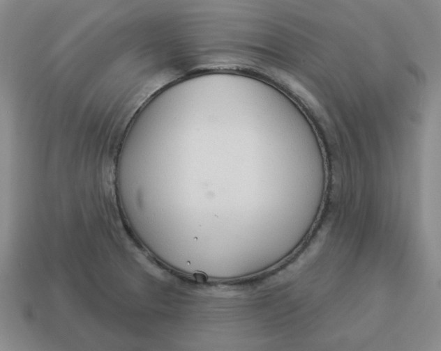 X0000114491329200911091040