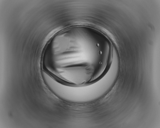 X0000114491330200911091040