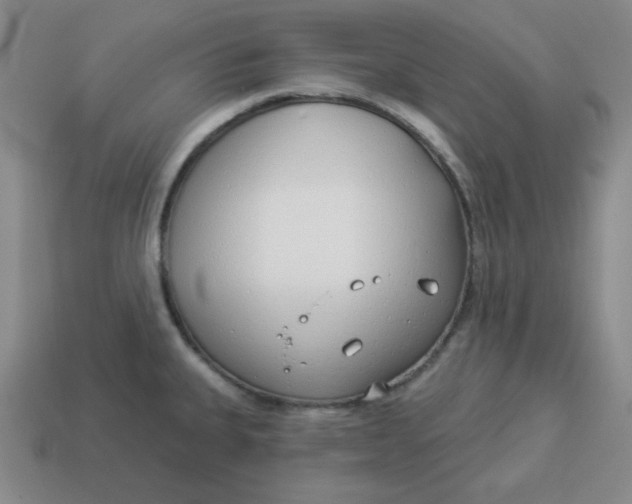 X0000114491335200911091040