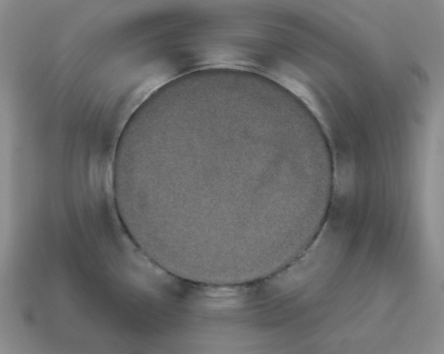 X0000114491338200911091040