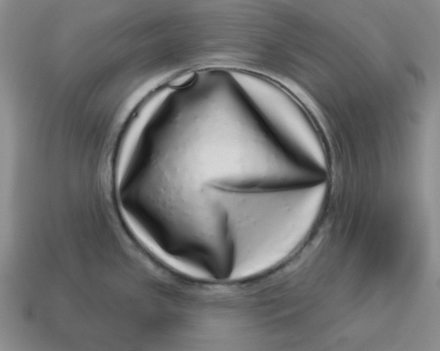 X0000114491341200911091040