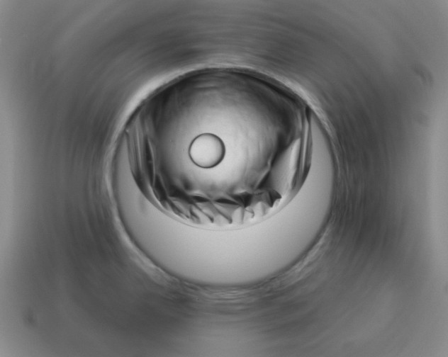 X0000114491342200911091040