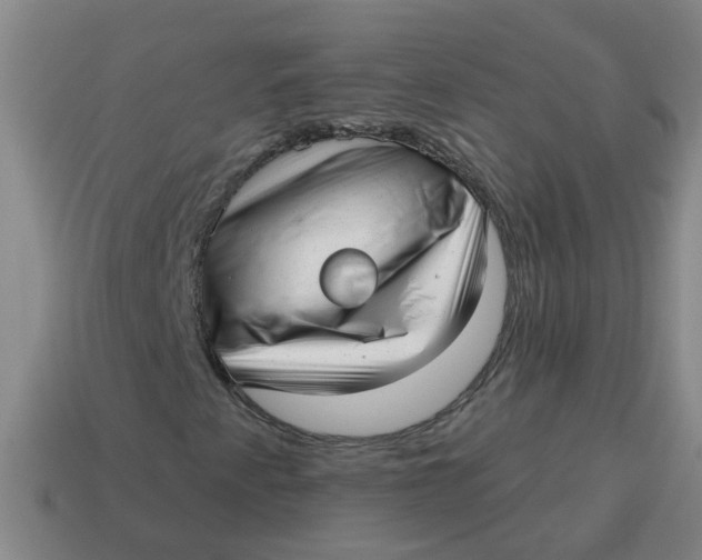 X0000114491345200911091039