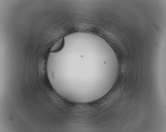 X0000114491346200911091039