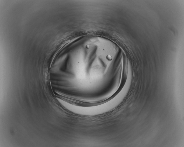 X0000114491348200911091039