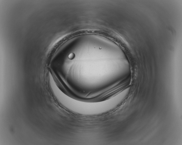 X0000114491352200911091039