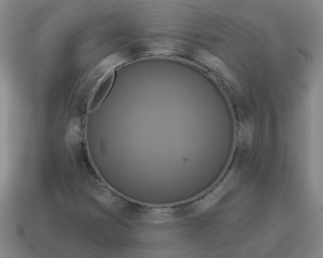 X0000114491353200911091039