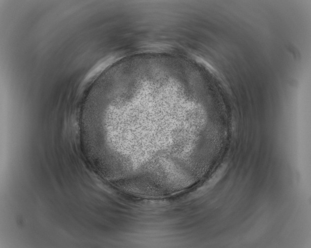X0000114491354200911091039