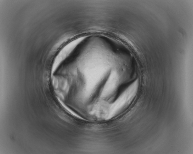 X0000114491355200911091039