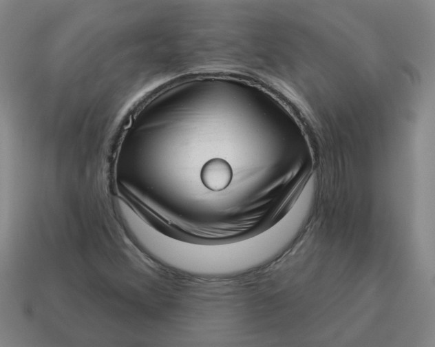 X0000114491356200911091039
