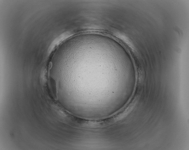 X0000114491357200911091039