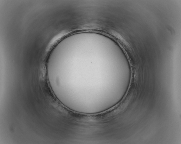 X0000114491358200911091039