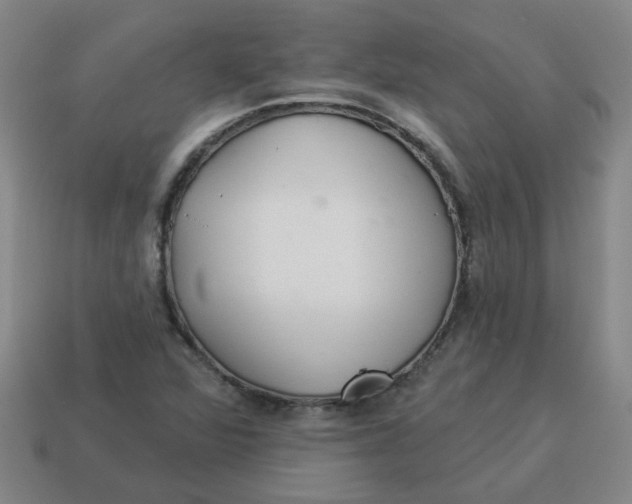 X0000114491360200911091039