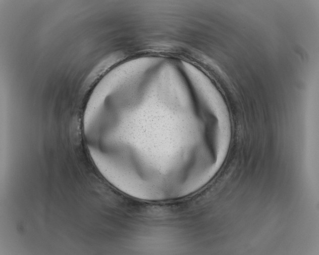 X0000114491362200911091039