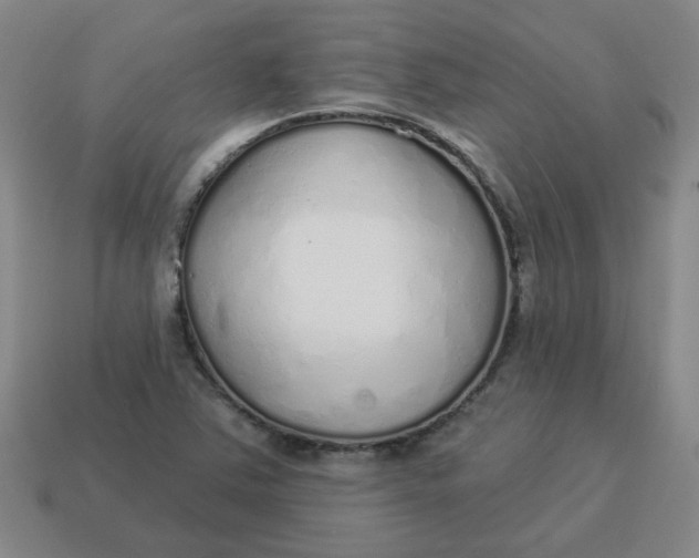 X0000114491363200911091039